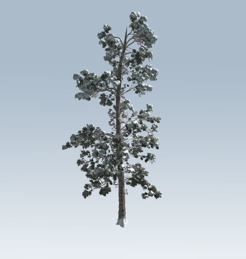 Winter trees pine set 3D Model Collection_42