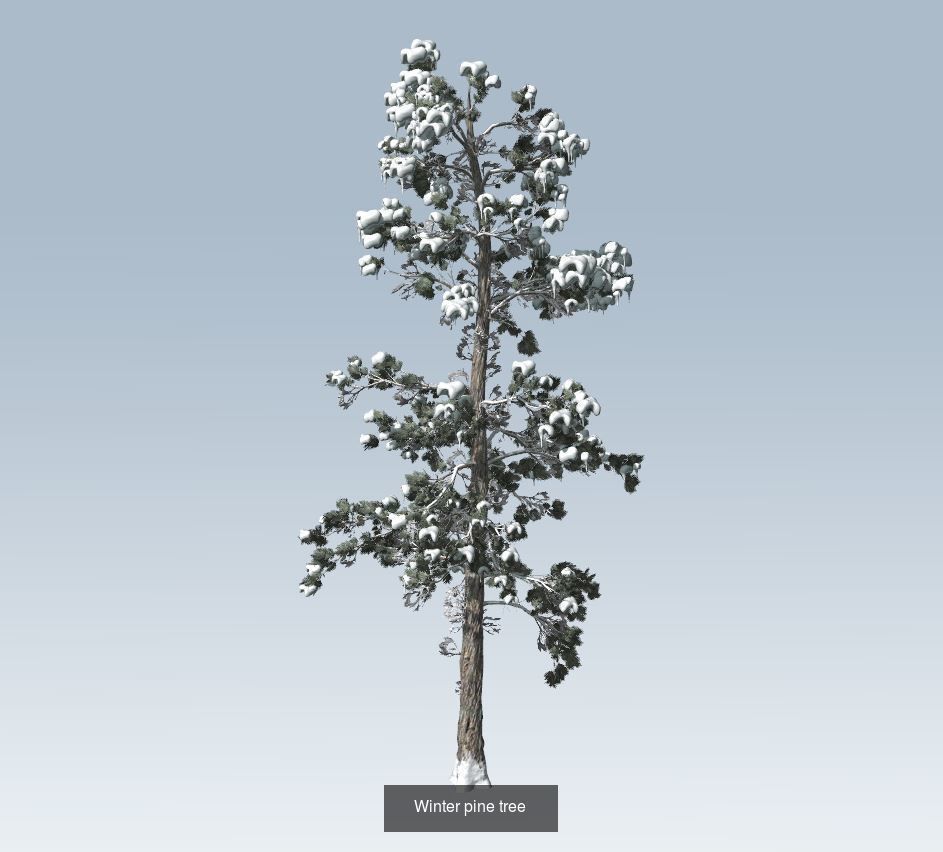 Winter trees pine set 3D Model Collection_4