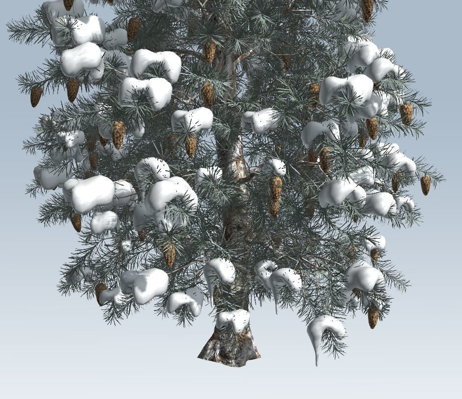 Winter trees pine set 3D Model Collection_13