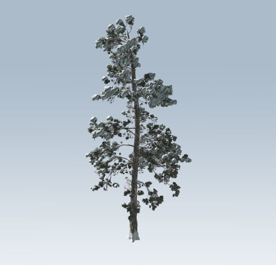Winter trees pine set 3D Model Collection_41