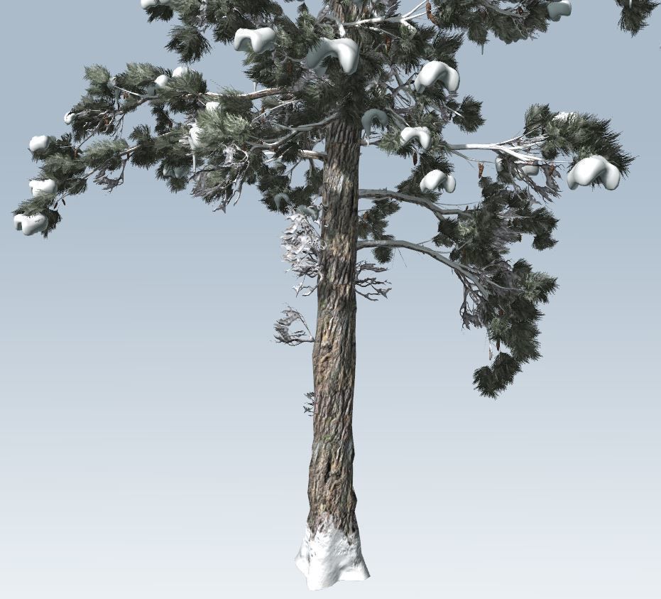Winter trees pine set 3D Model Collection_50