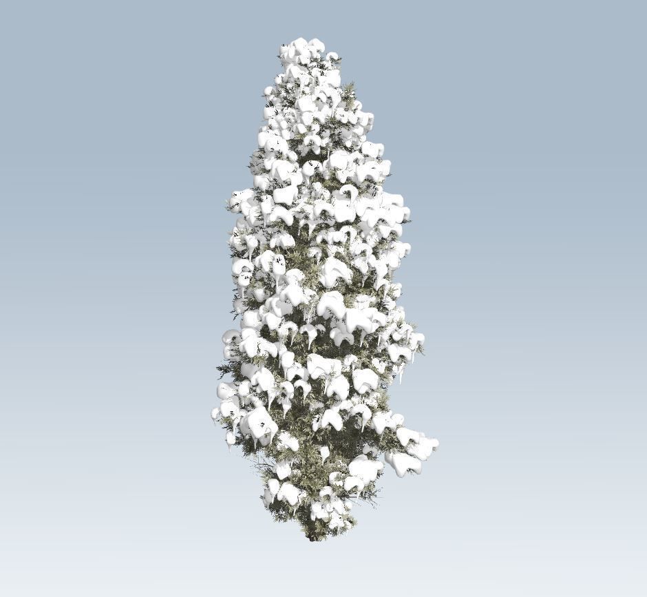 Winter trees pine set 3D Model Collection_67