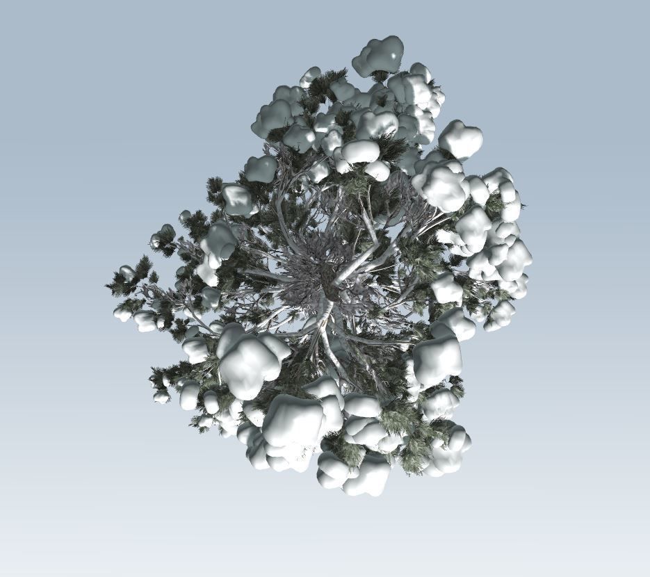 Winter trees pine set 3D Model Collection_49