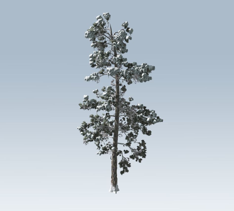 Winter trees pine set 3D Model Collection_43