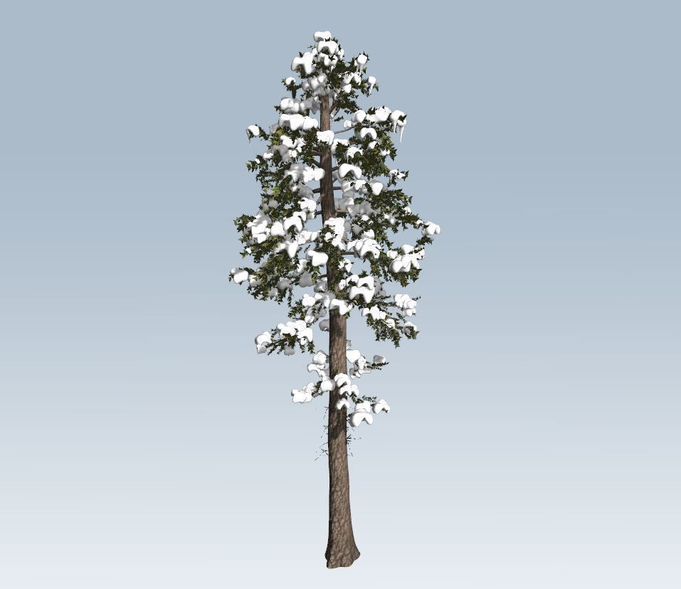Winter trees pine set 3D Model Collection_26