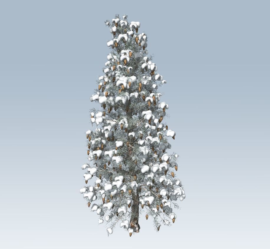 Winter trees pine set 3D Model Collection_8