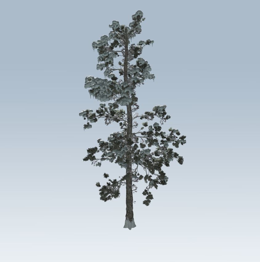 Winter trees pine set 3D Model Collection_45