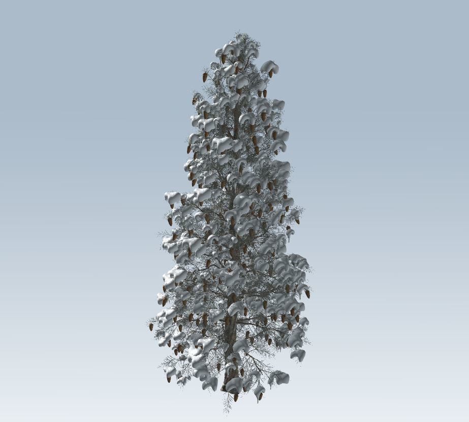 Winter trees pine set 3D Model Collection_5
