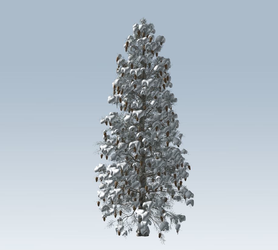 Winter trees pine set 3D Model Collection_9