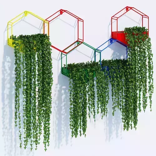 Hexagon color planters