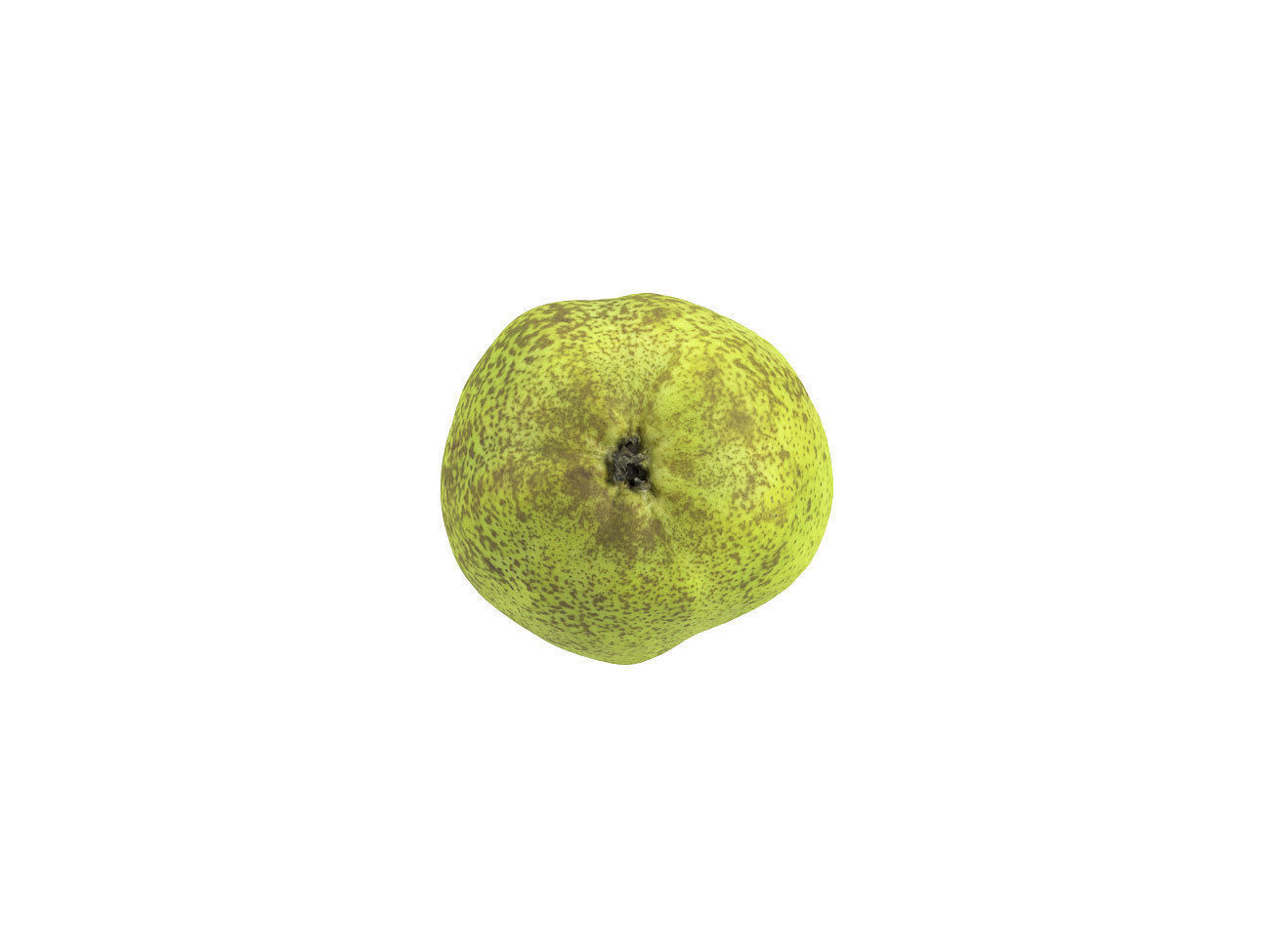 Photorealistic Pear 3D Scan 3 3D model_5