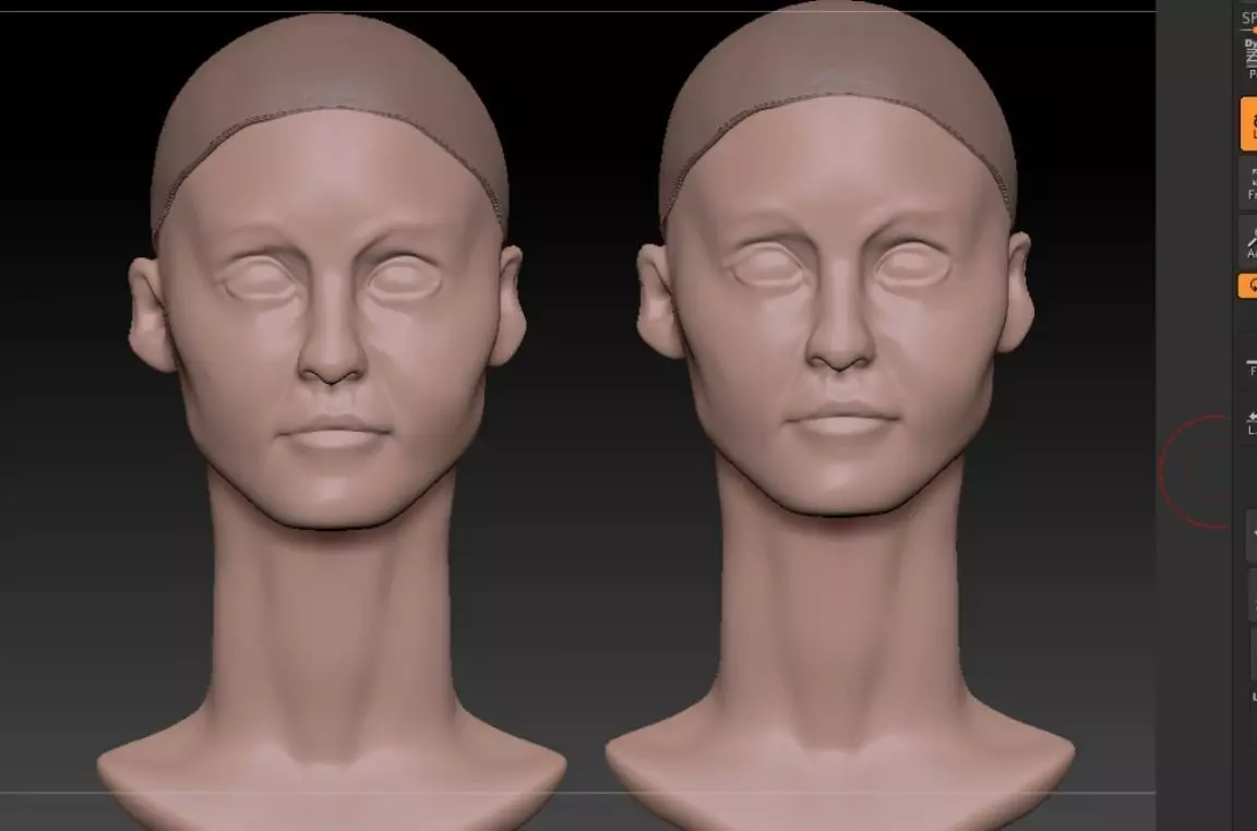 woman anatomy head from 3d scane Free 3D model