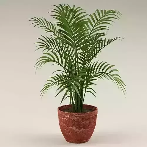 Plant 36