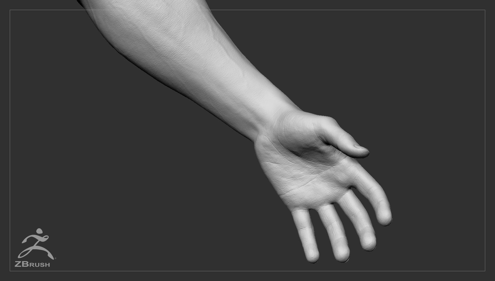 Muscular Male Basemesh 3D model_9