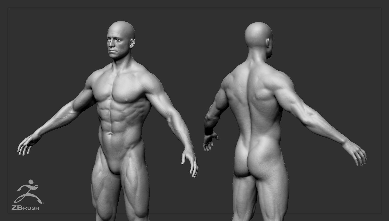 Muscular Male Basemesh 3D model_3
