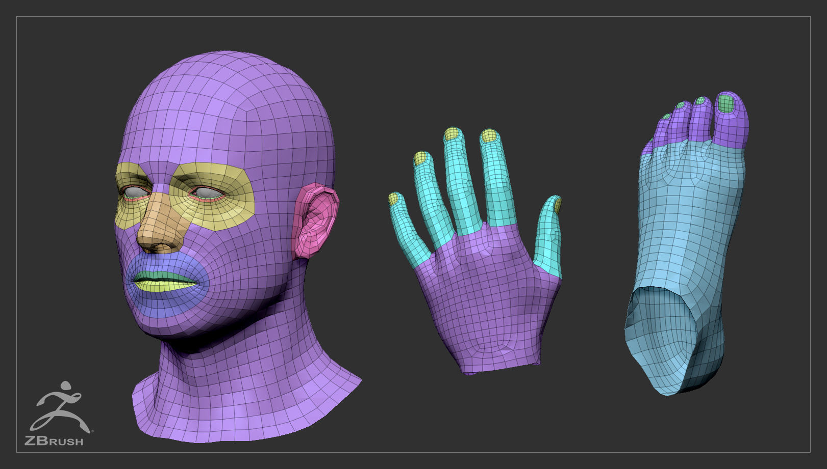 Muscular Male Basemesh 3D model_11