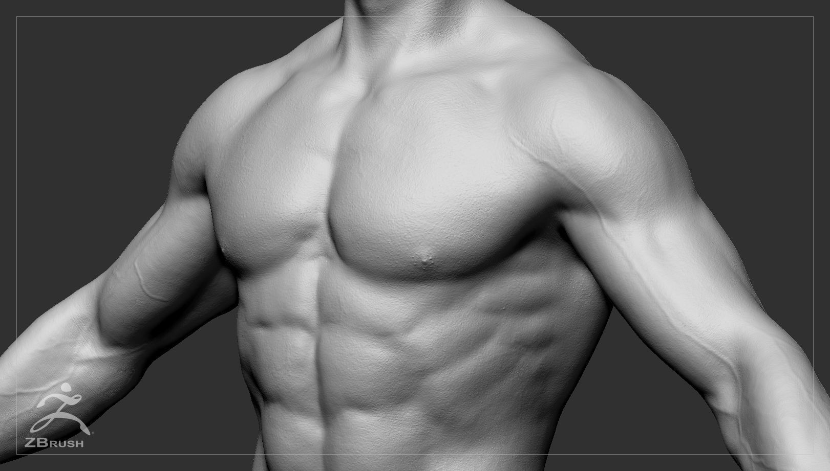 Muscular Male Basemesh 3D model_5