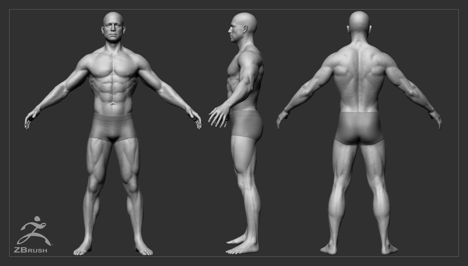 Muscular Male Basemesh 3D model_1