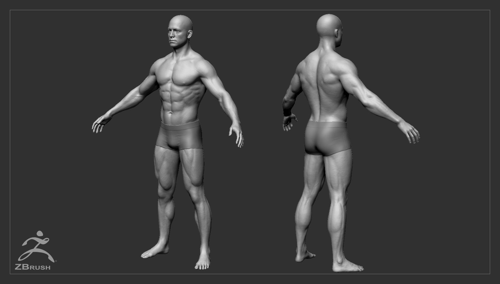 Muscular Male Basemesh 3D model_2