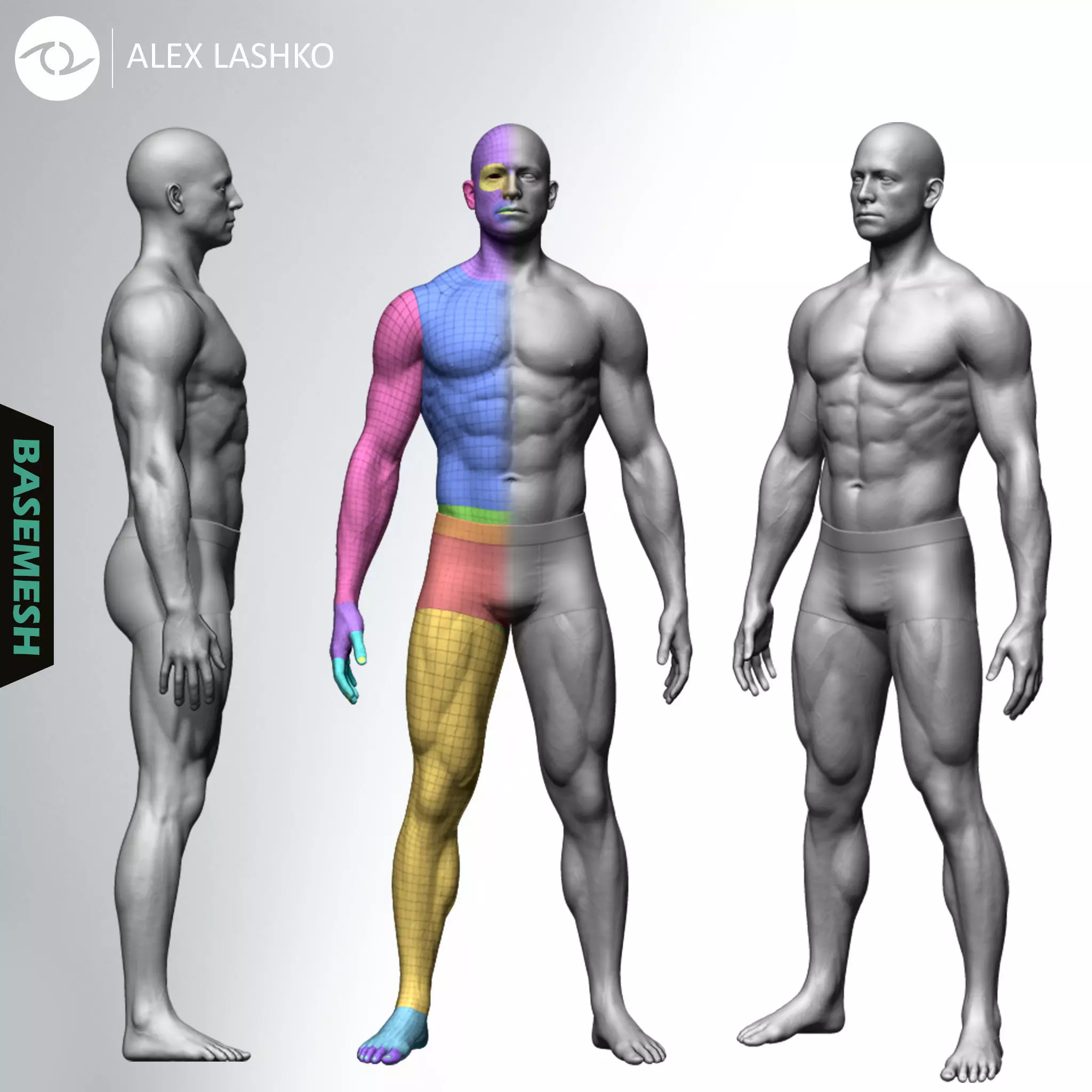 Muscular Male Basemesh 3D model_0