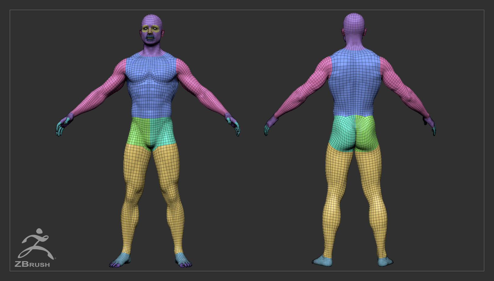 Muscular Male Basemesh 3D model_10