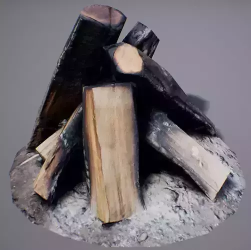 Firewood - Game Ready fire pit made of logs