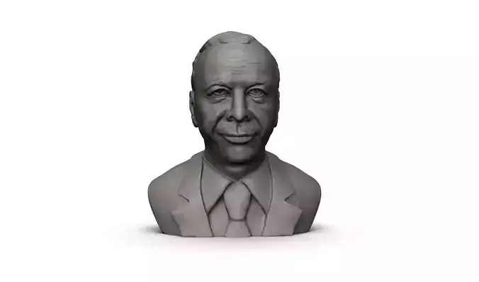 Recep Tayip Erdogan 3D Print Model 3D print model