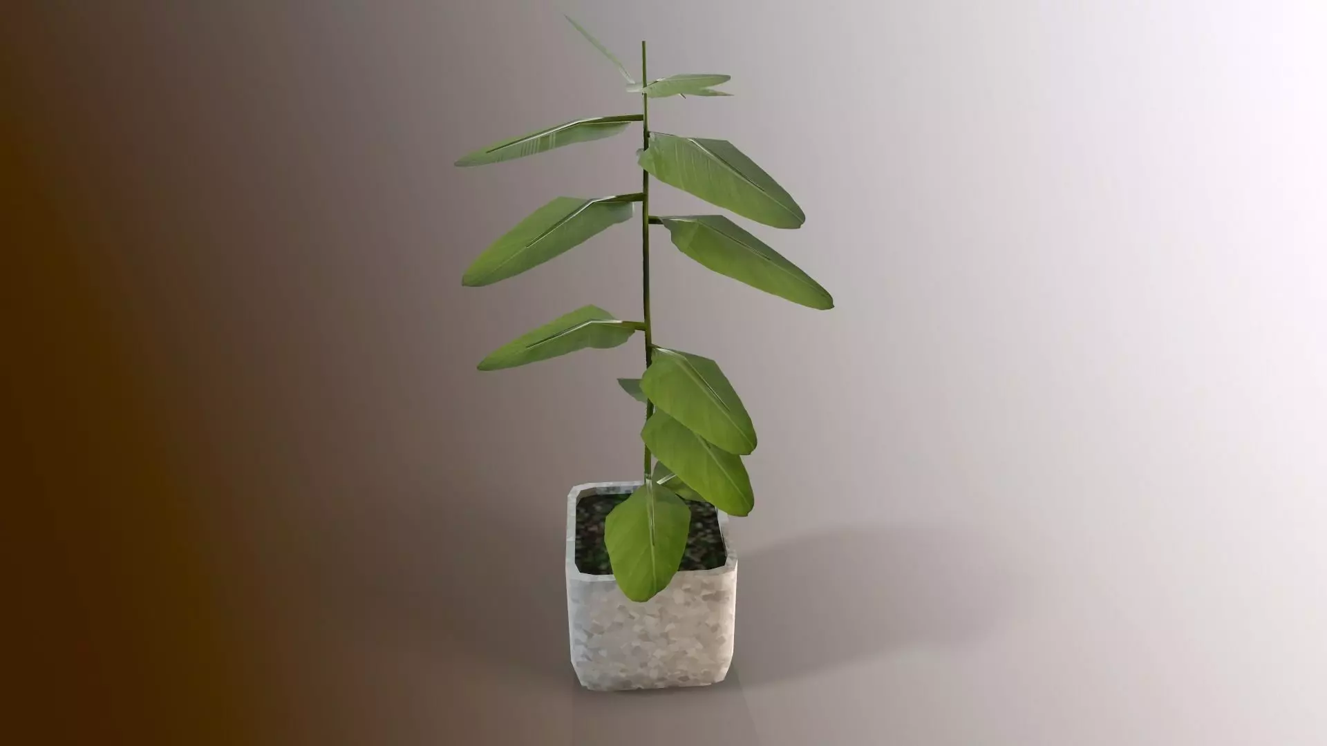 Little tree lowpoly model Low-poly 3D model_0