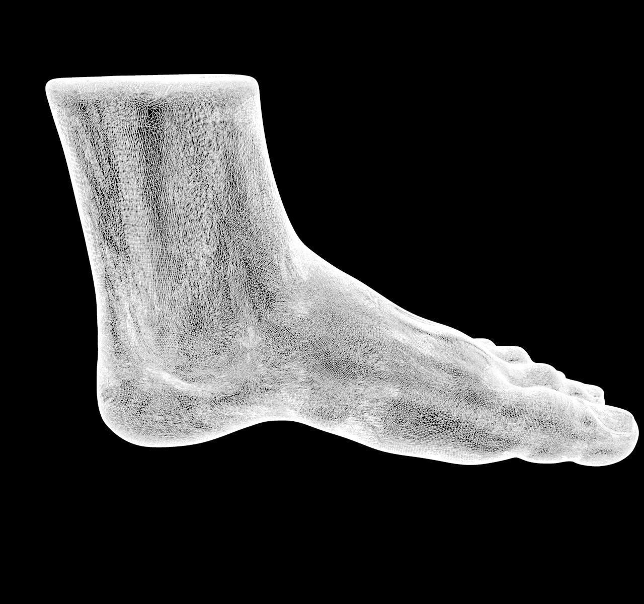 Foot human 3D model_4