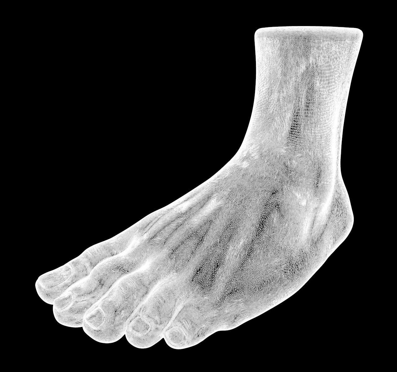 Foot human 3D model_3