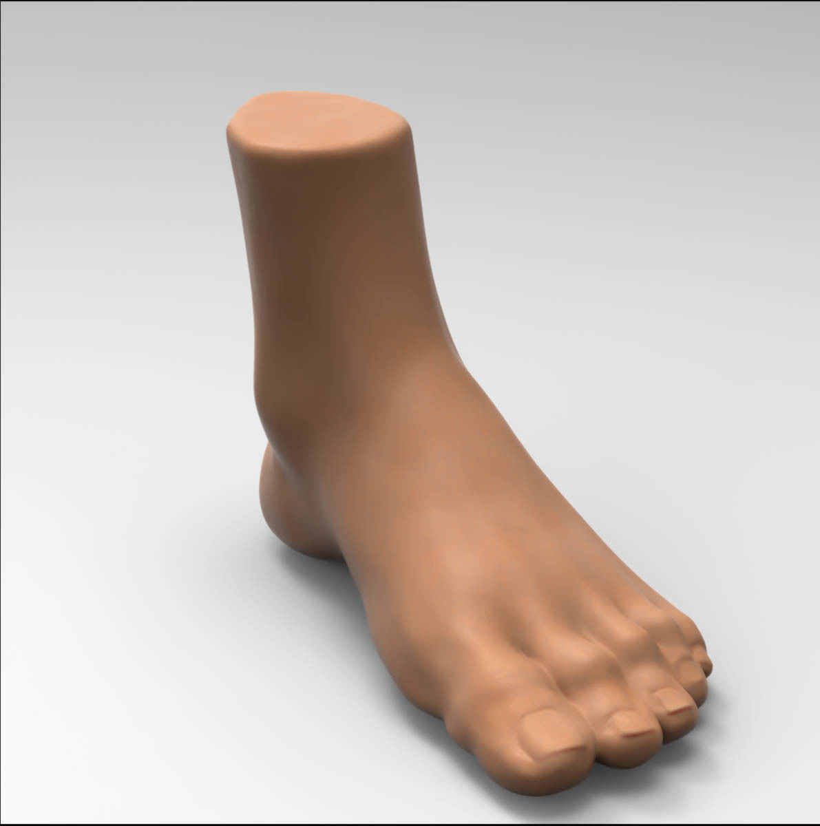 Foot human 3D model_1
