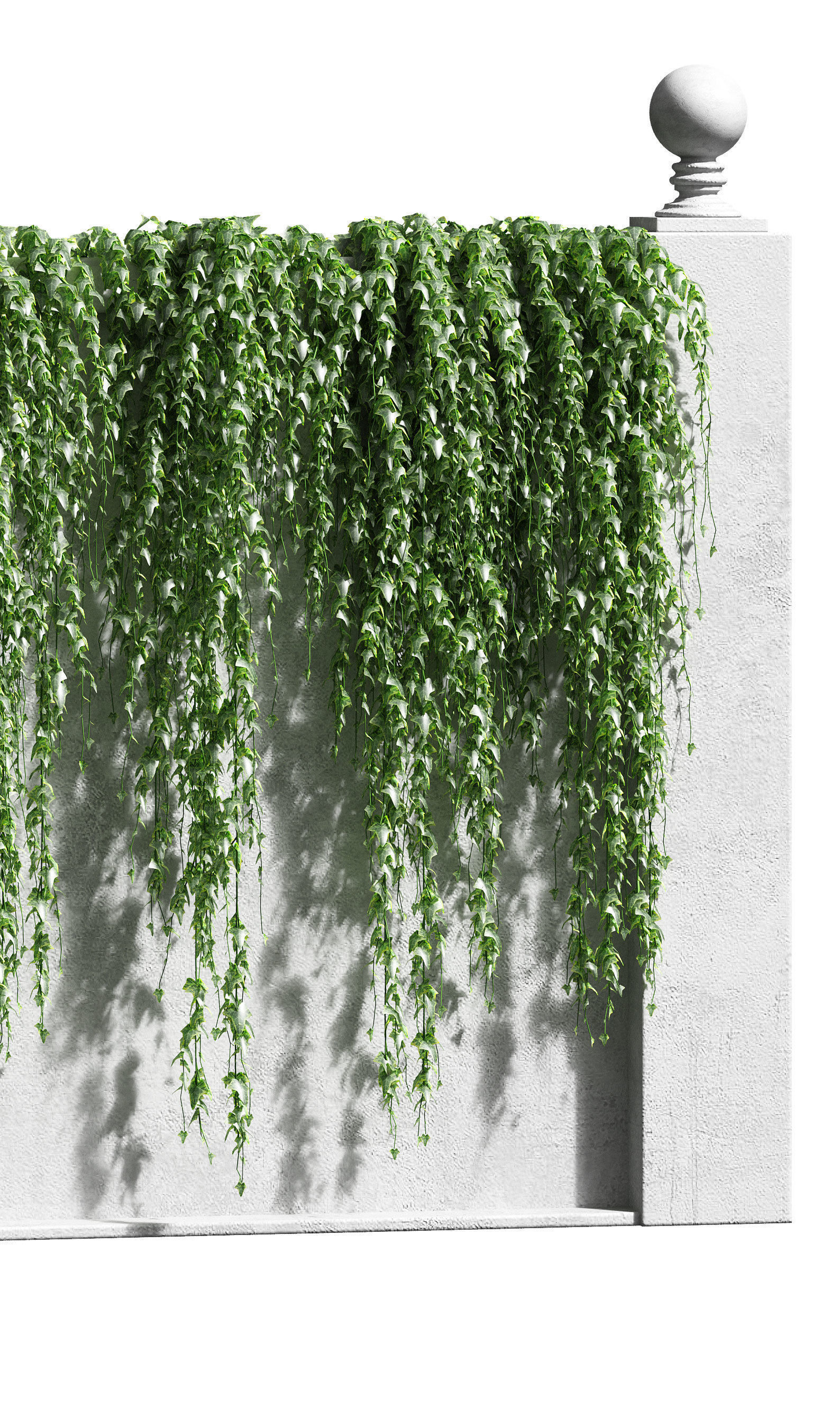 Ivy for the fence 3D model_2