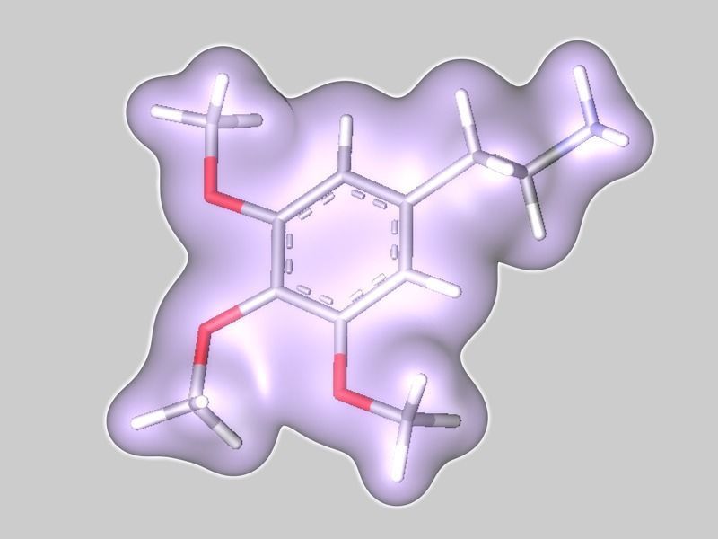 Mescaline molecule 3D model_1