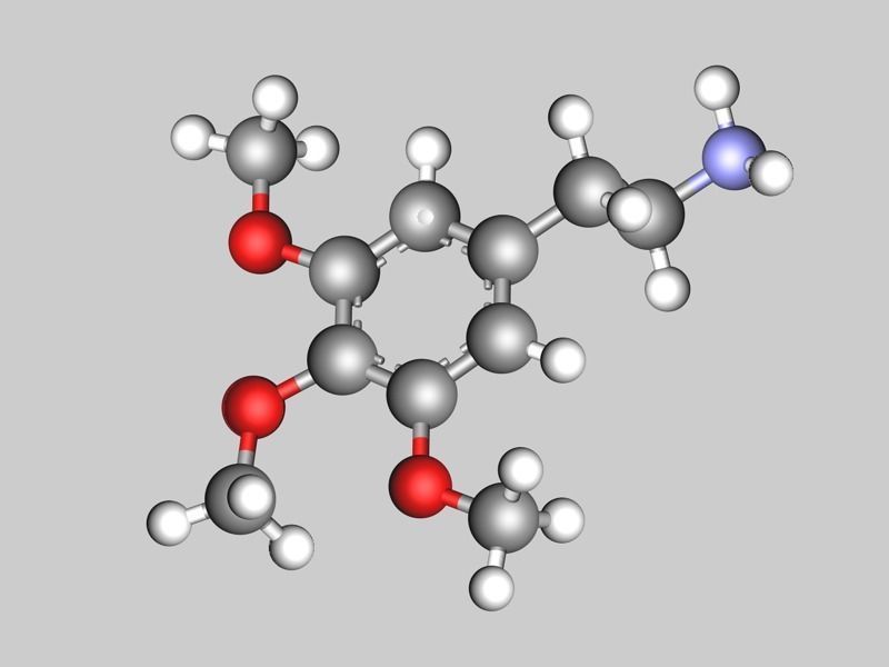 Mescaline molecule 3D model_3