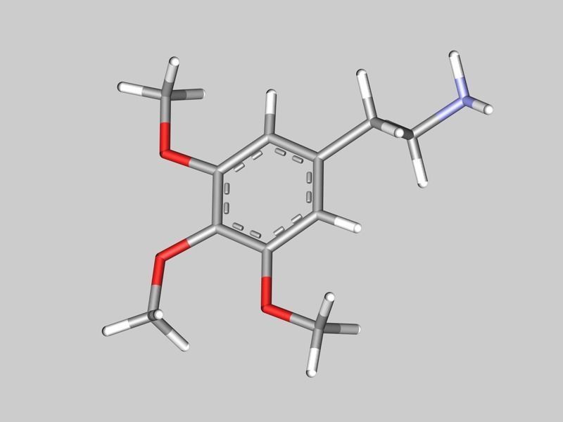 Mescaline molecule 3D model_2