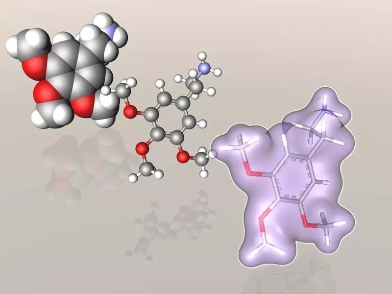 Mescaline molecule 3D model_0