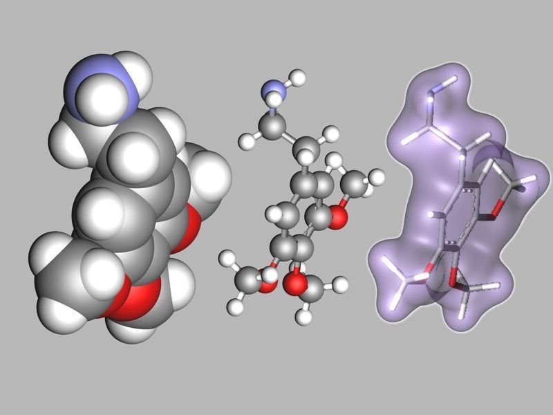 Mescaline molecule 3D model_8