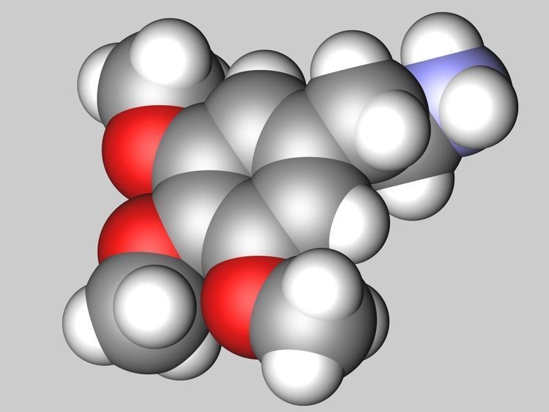 Mescaline molecule 3D model_4
