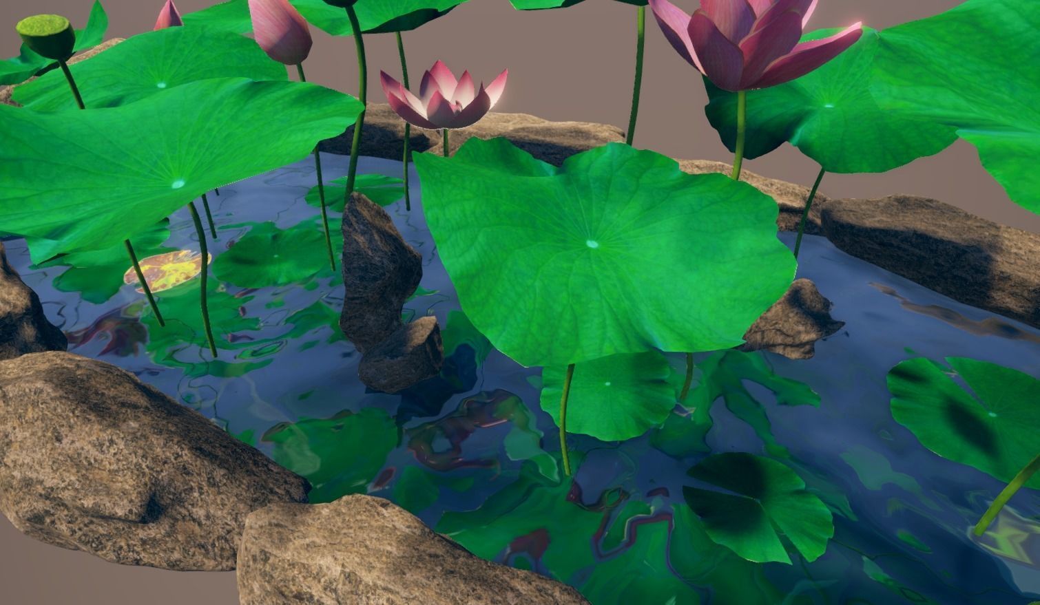lotus pond with water lilies and rocks Low-poly 3D model_3