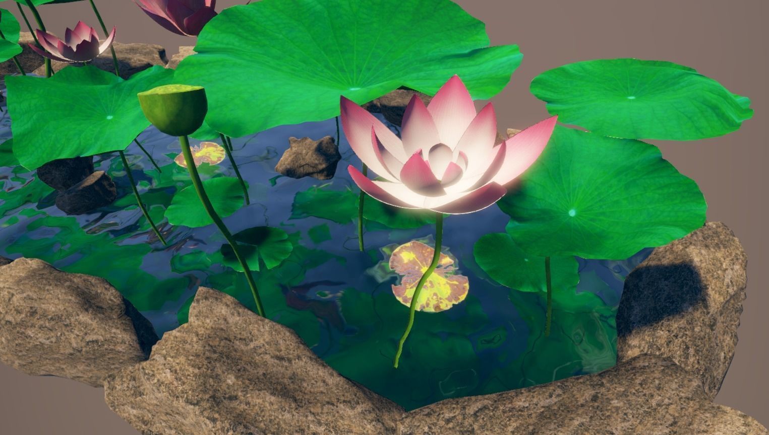 lotus pond with water lilies and rocks Low-poly 3D model_11