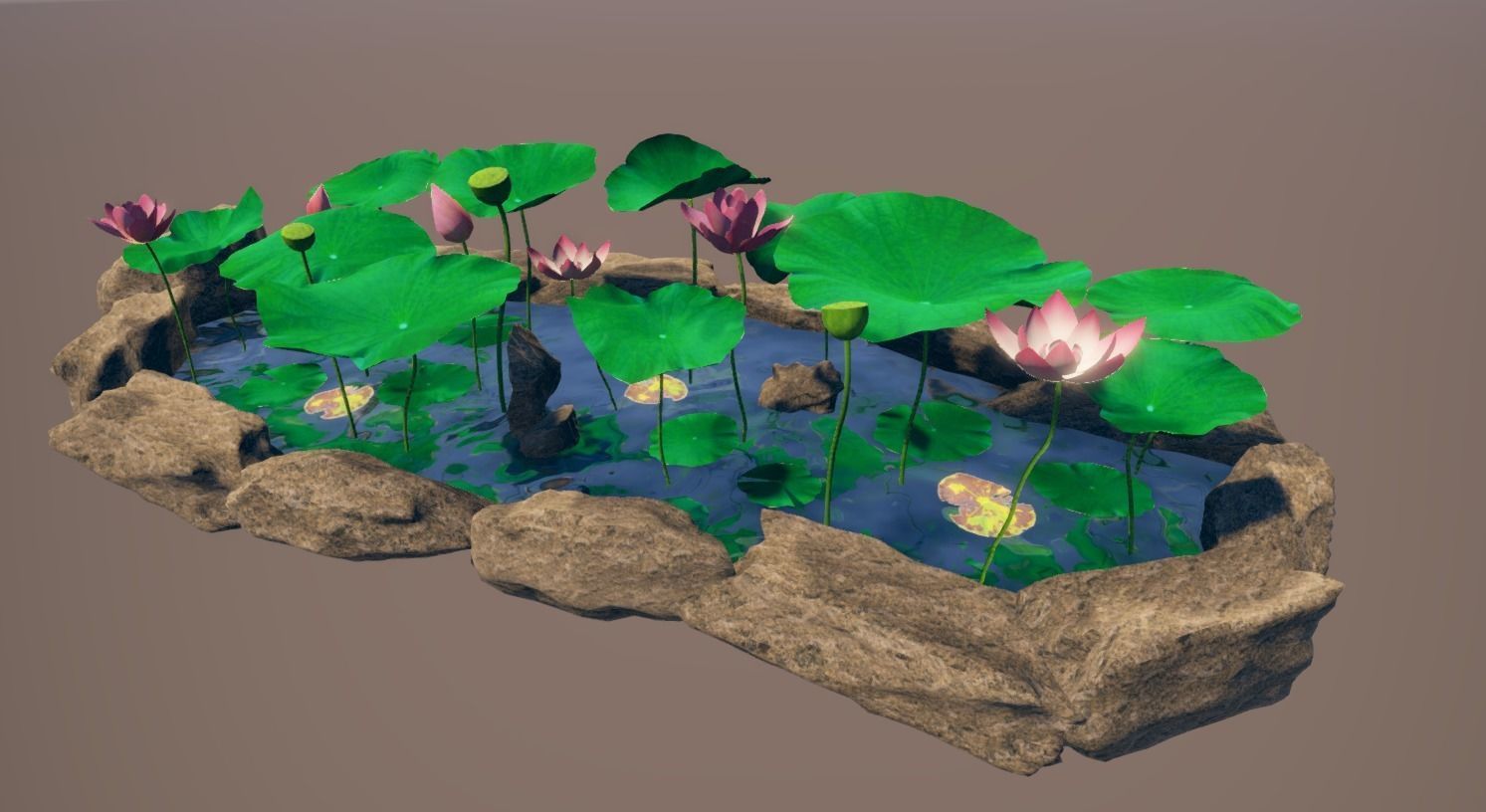 lotus pond with water lilies and rocks Low-poly 3D model_5