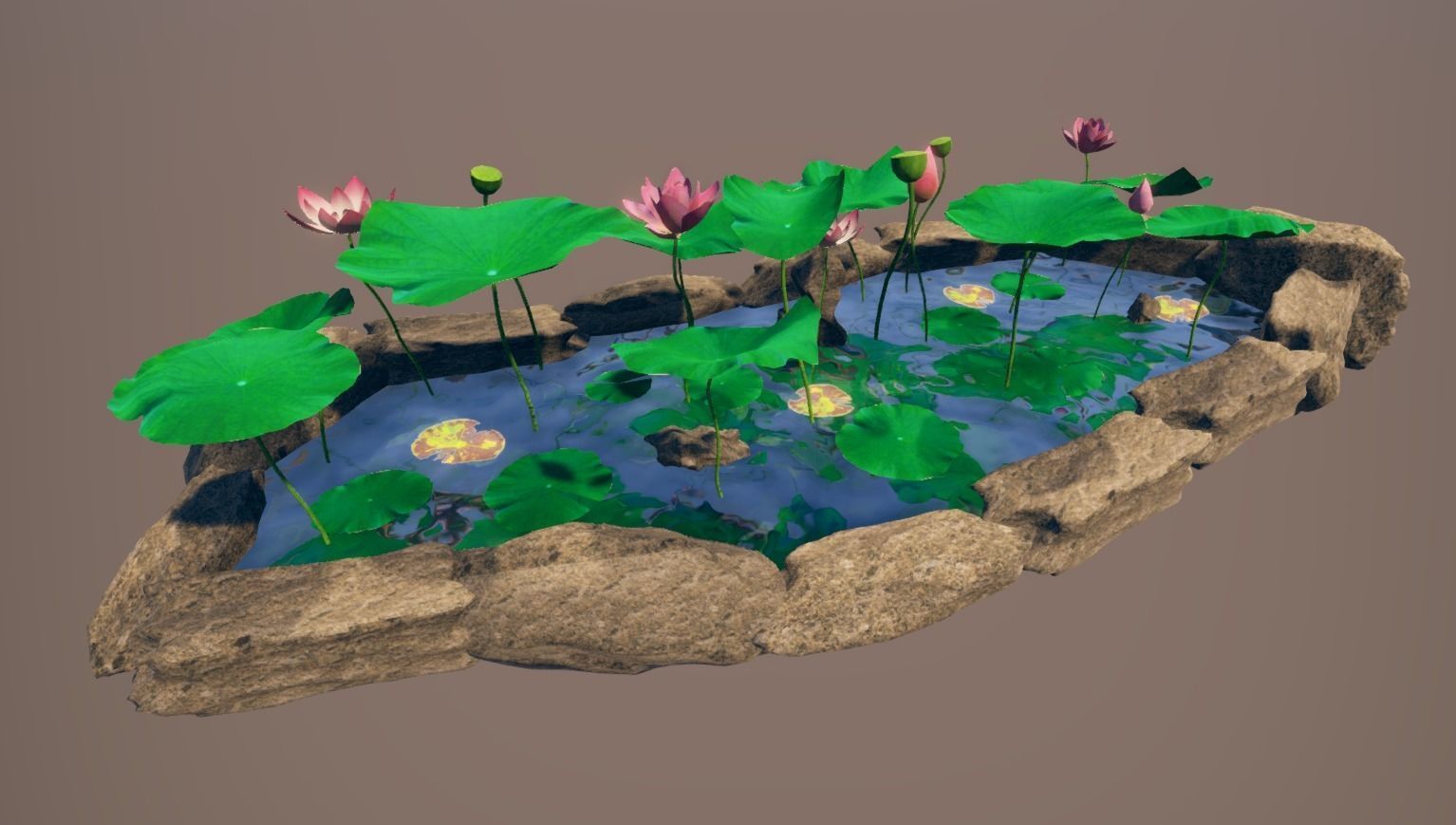lotus pond with water lilies and rocks Low-poly 3D model_7