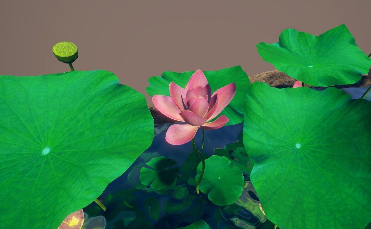 lotus pond with water lilies and rocks Low-poly 3D model_12