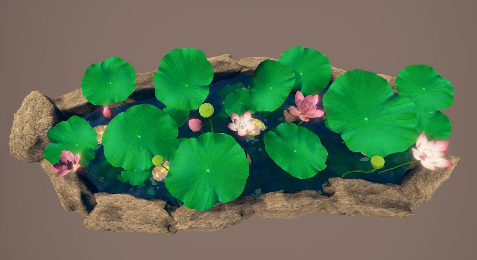 lotus pond with water lilies and rocks Low-poly 3D model_9