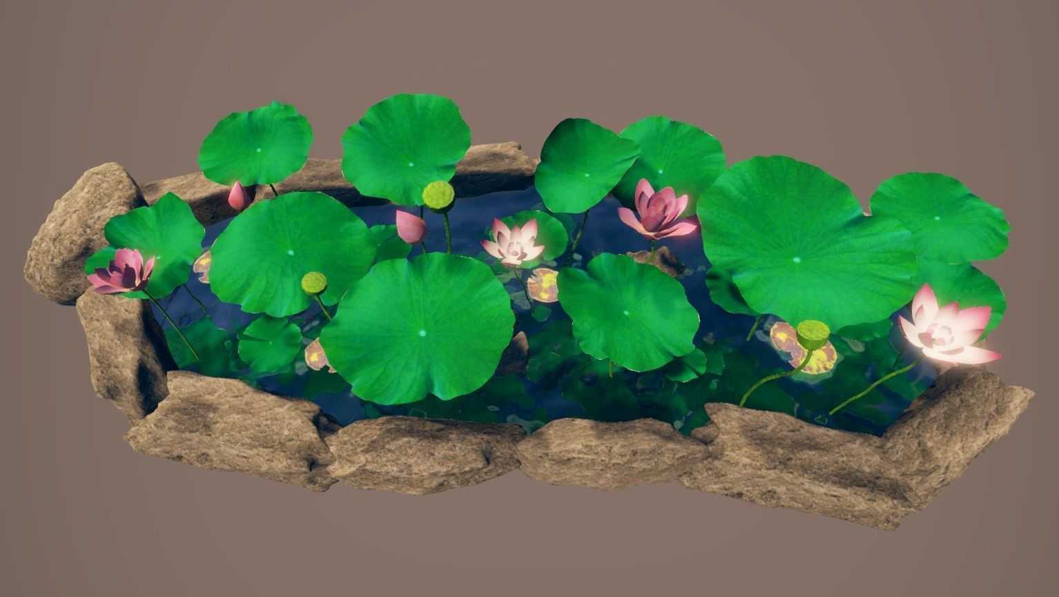 lotus pond with water lilies and rocks Low-poly 3D model_8