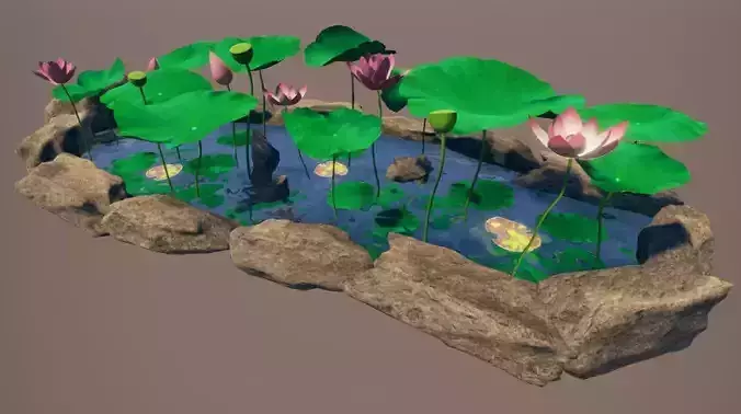 lotus pond with water lilies and rocks