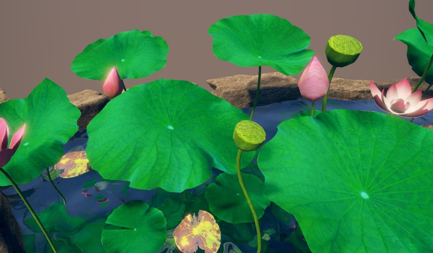lotus pond with water lilies and rocks Low-poly 3D model_13