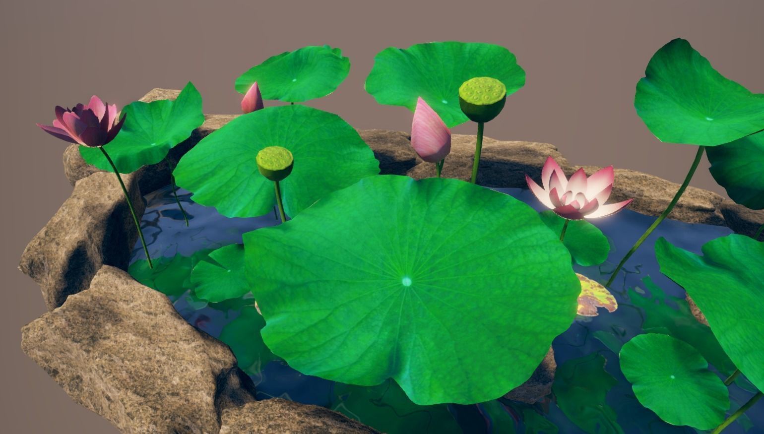 lotus pond with water lilies and rocks Low-poly 3D model_2