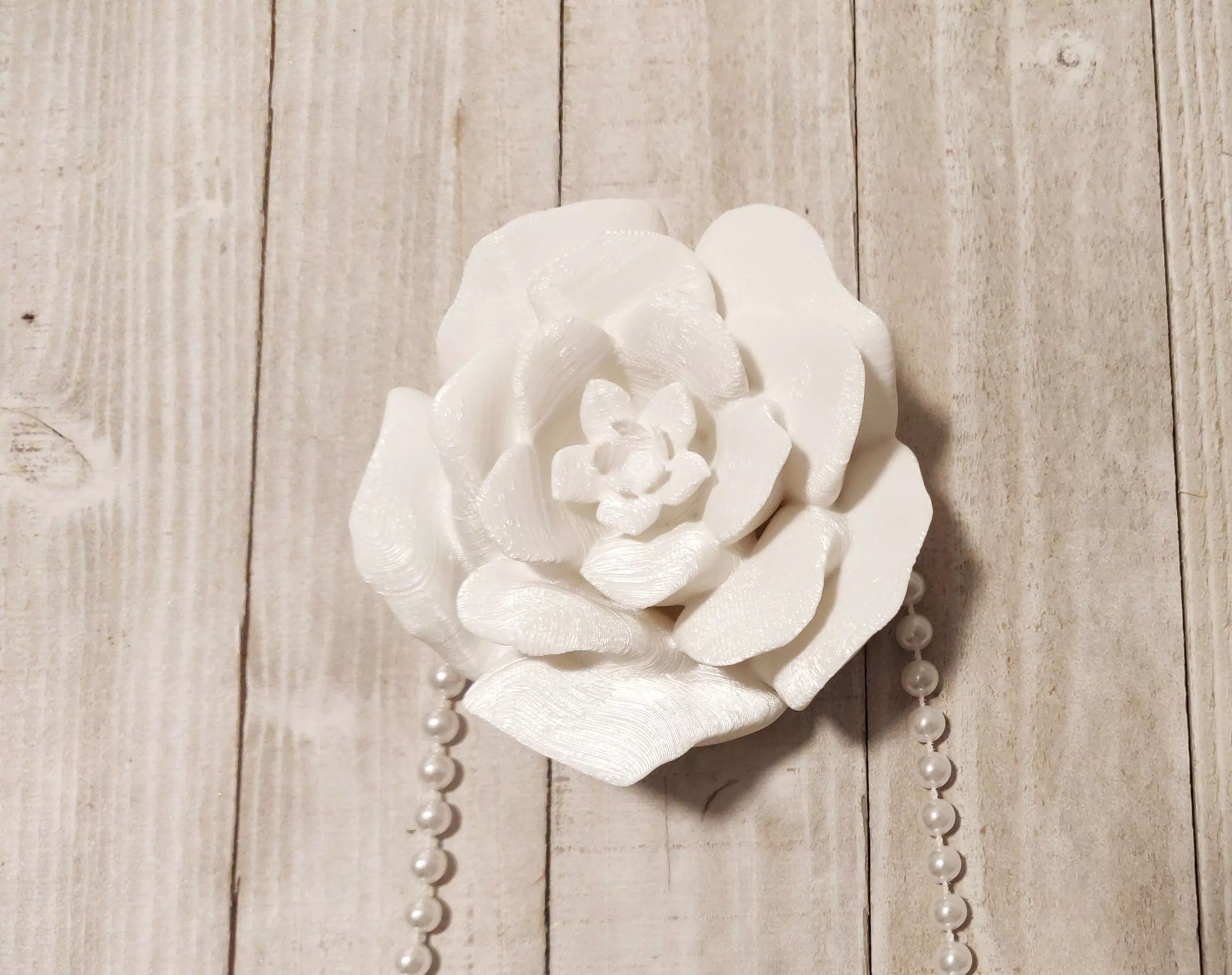 Christmas Rose 3D print model_0