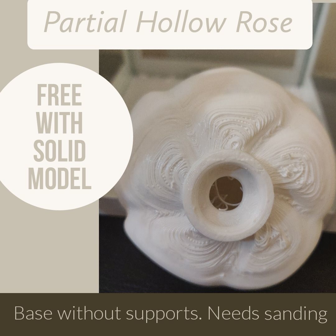 Christmas Rose 3D print model_15